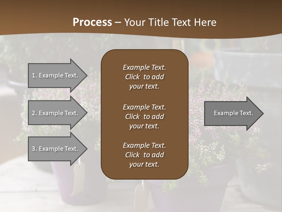 White Shoes Rake PowerPoint Template