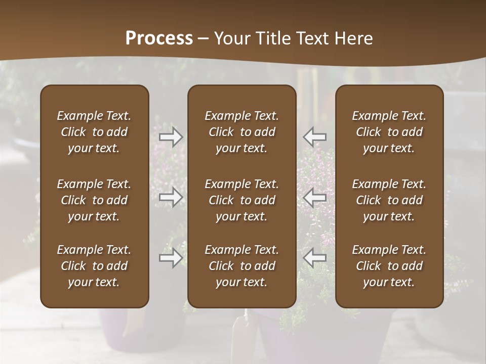 White Shoes Rake PowerPoint Template