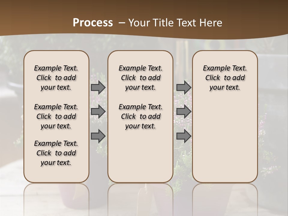 White Shoes Rake PowerPoint Template