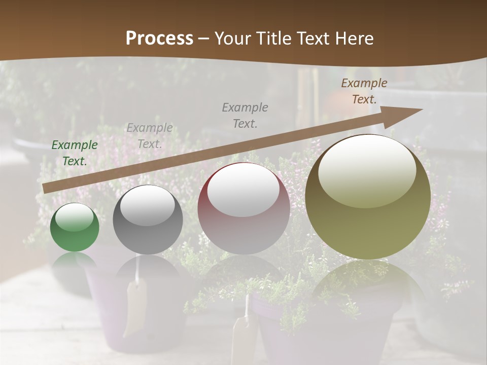 White Shoes Rake PowerPoint Template