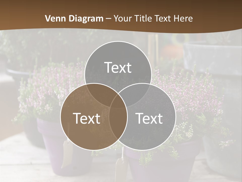 White Shoes Rake PowerPoint Template