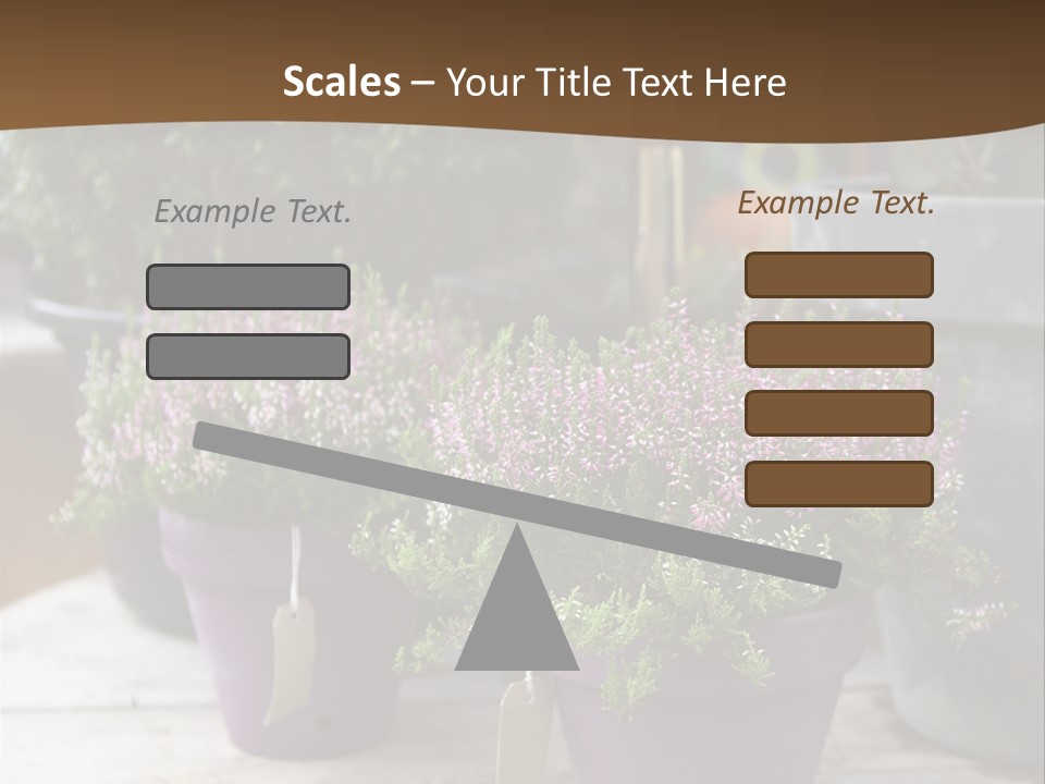 White Shoes Rake PowerPoint Template