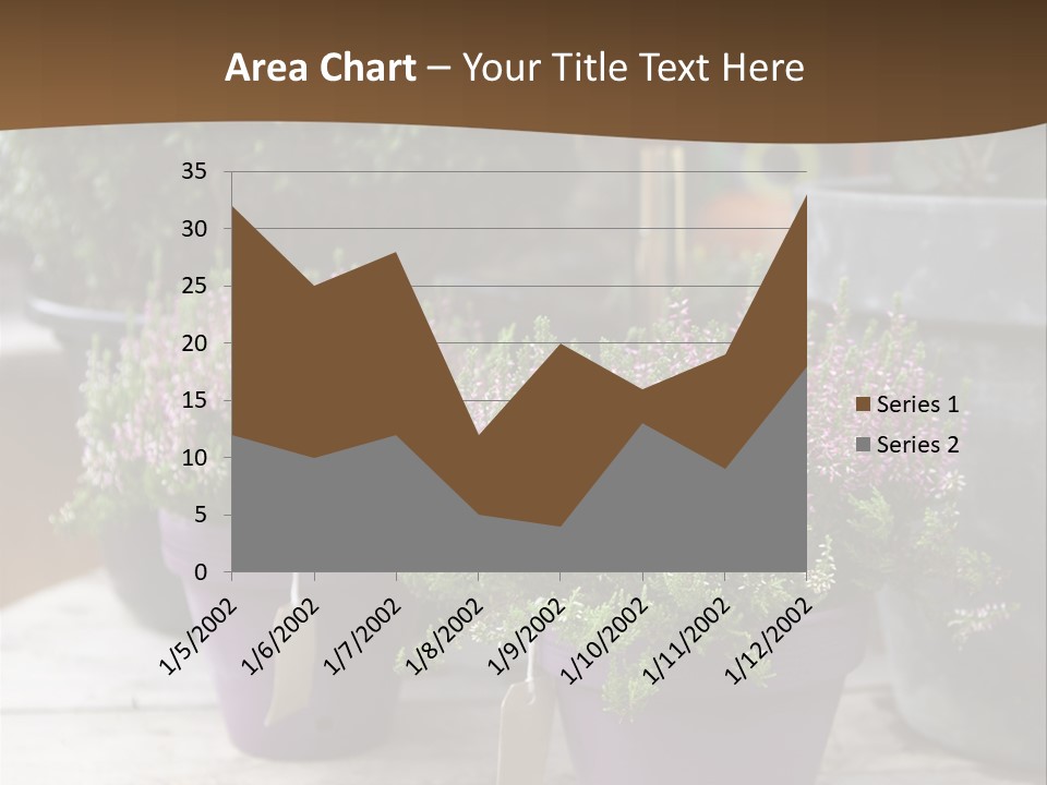 White Shoes Rake PowerPoint Template