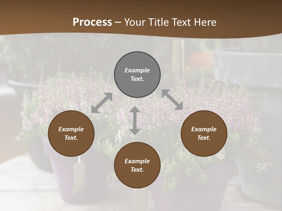 White Shoes Rake PowerPoint Template