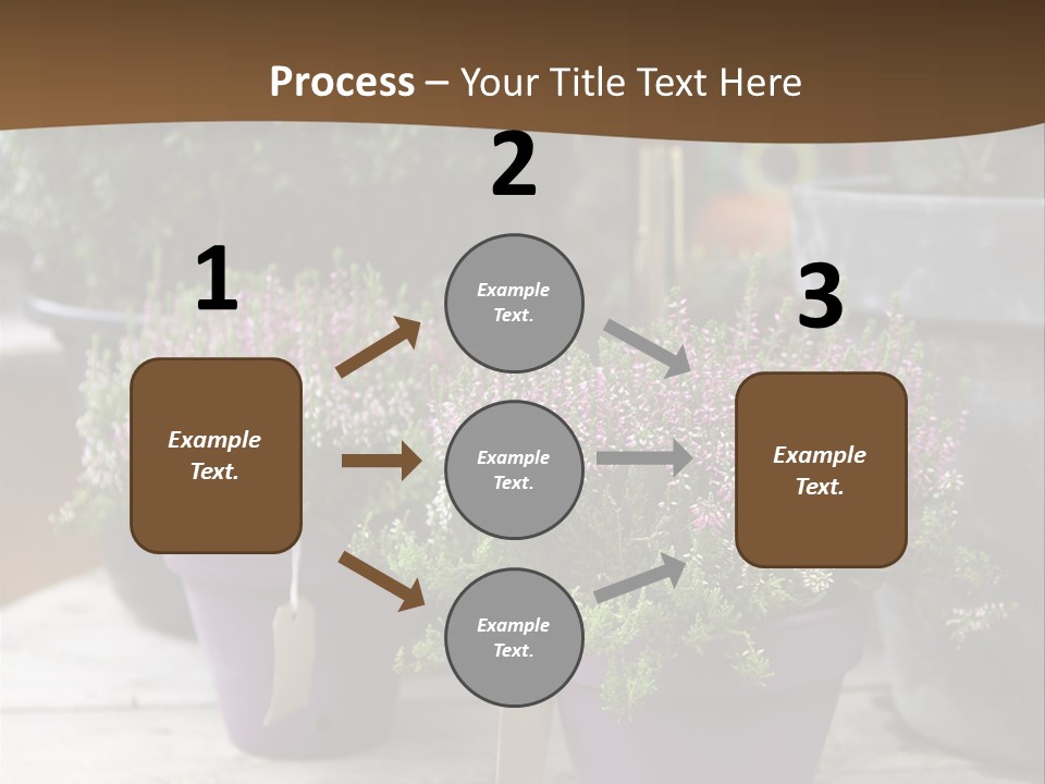 White Shoes Rake PowerPoint Template