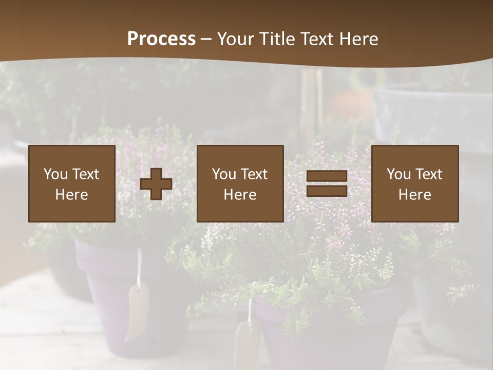 White Shoes Rake PowerPoint Template