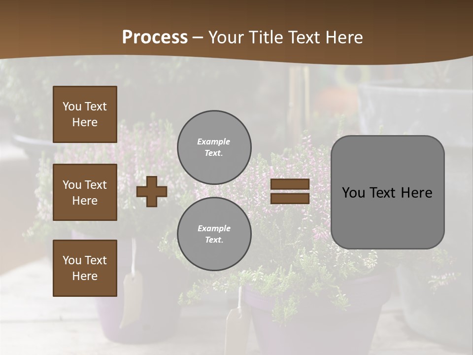White Shoes Rake PowerPoint Template