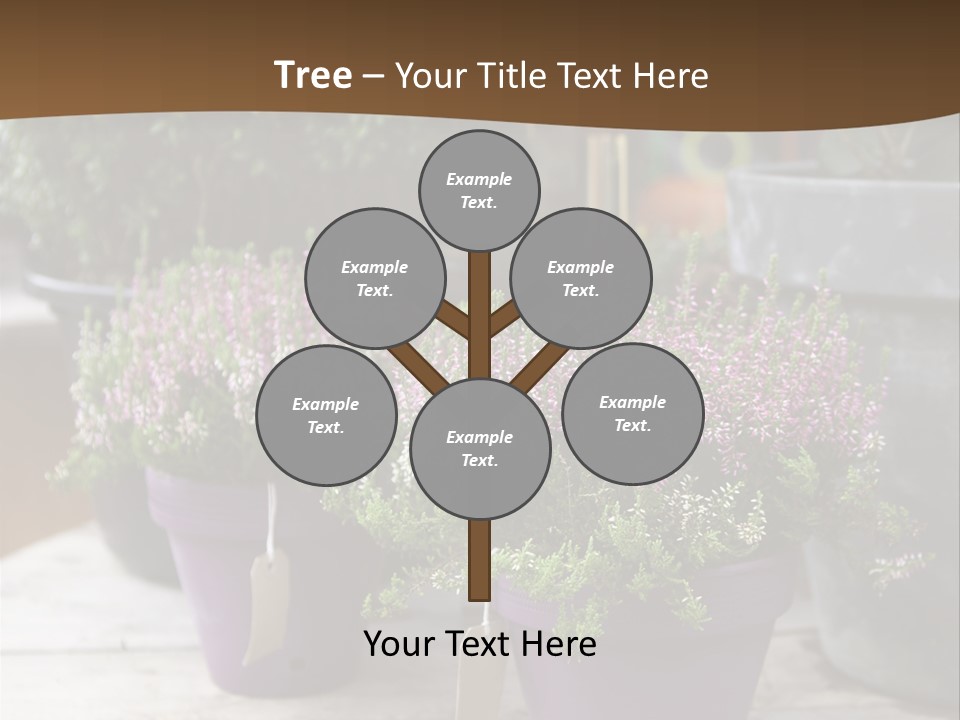 White Shoes Rake PowerPoint Template