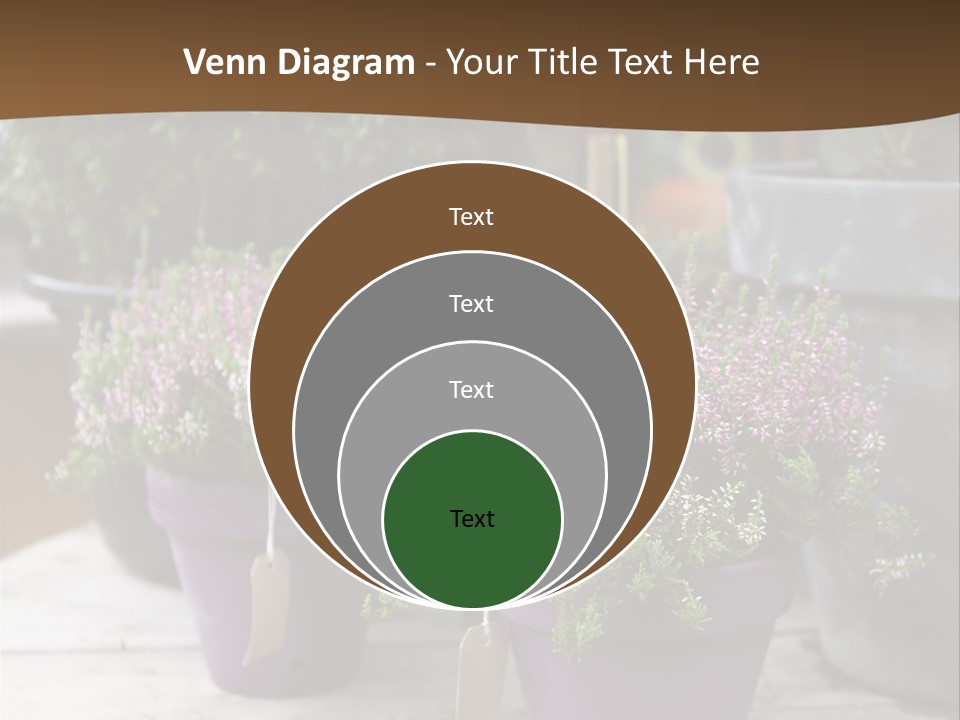 White Shoes Rake PowerPoint Template