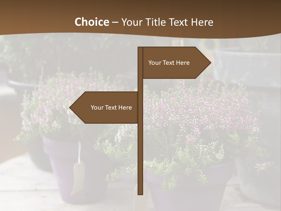 White Shoes Rake PowerPoint Template