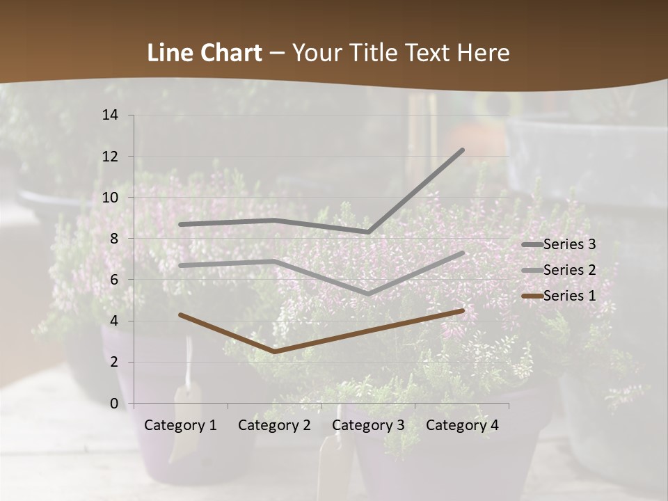 White Shoes Rake PowerPoint Template