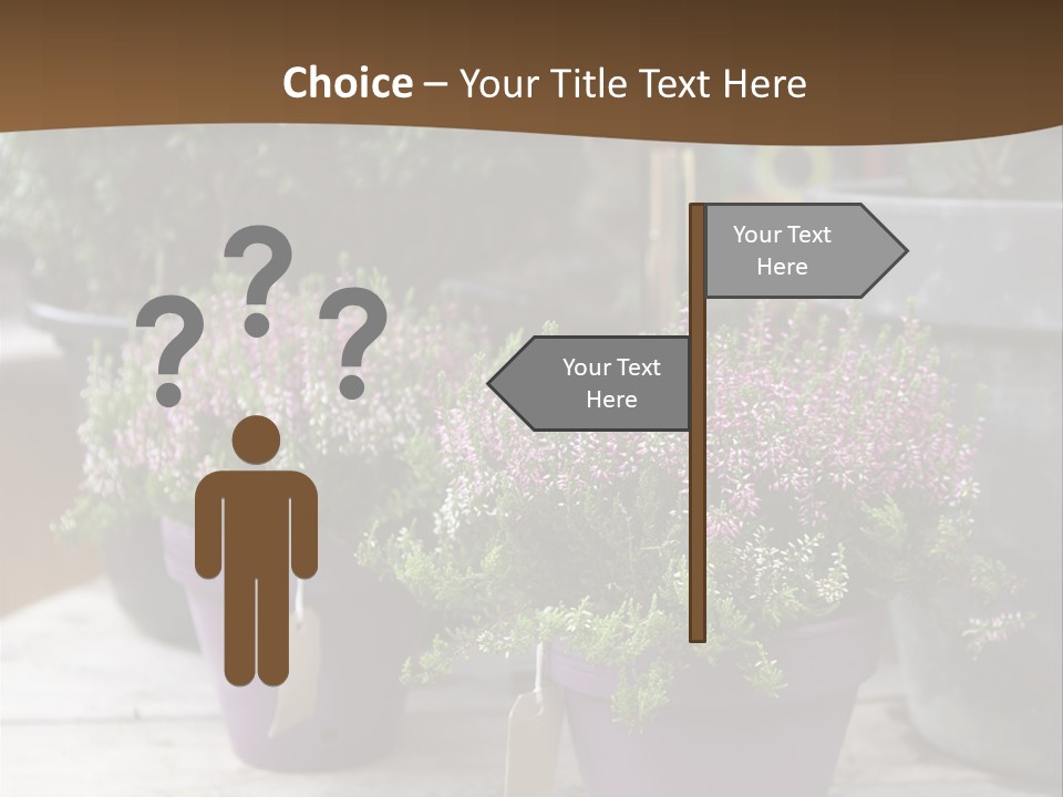 White Shoes Rake PowerPoint Template