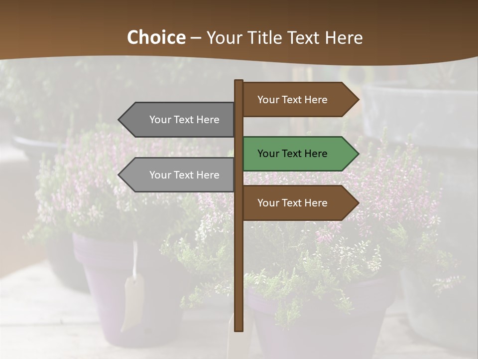 White Shoes Rake PowerPoint Template