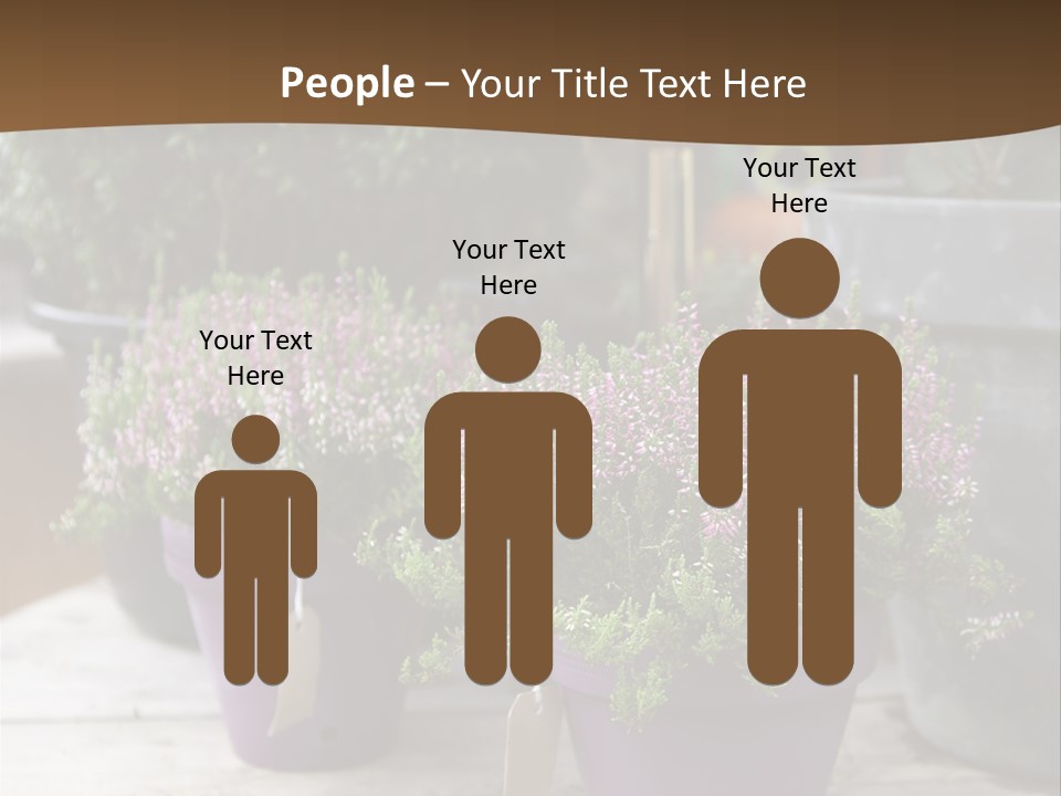 White Shoes Rake PowerPoint Template