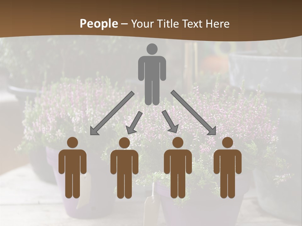 White Shoes Rake PowerPoint Template