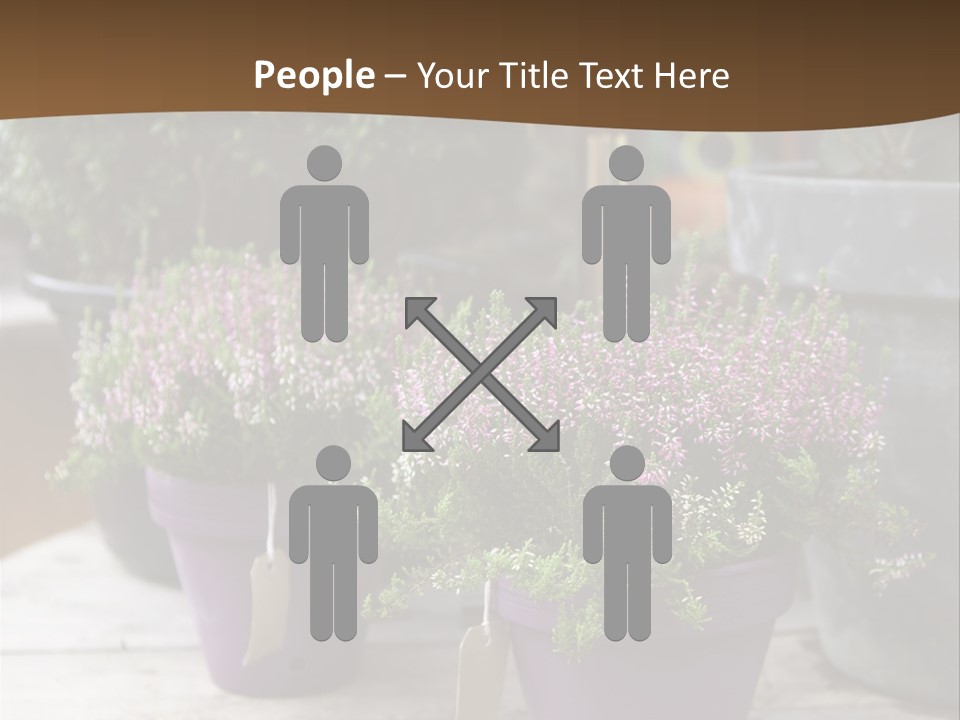 White Shoes Rake PowerPoint Template