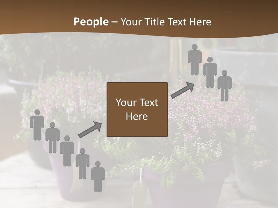 White Shoes Rake PowerPoint Template