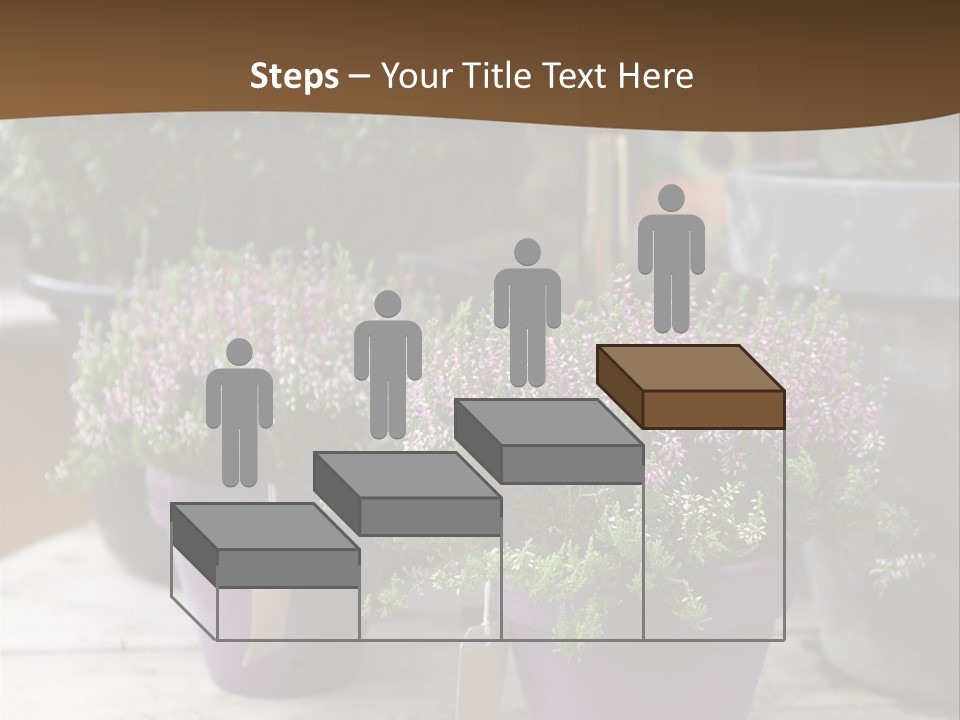 White Shoes Rake PowerPoint Template