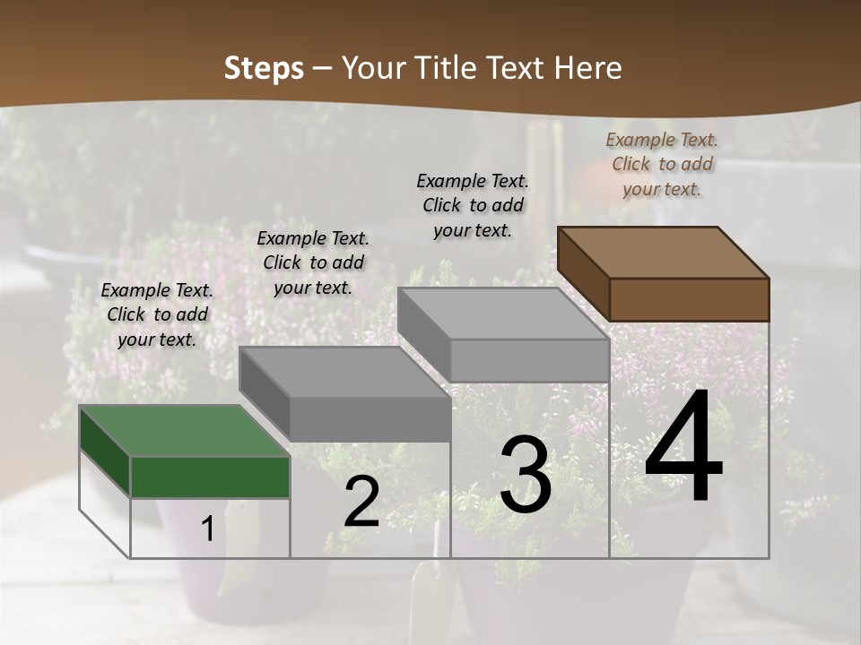 White Shoes Rake PowerPoint Template