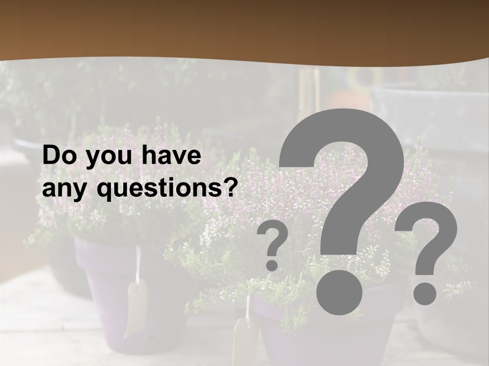 White Shoes Rake PowerPoint Template