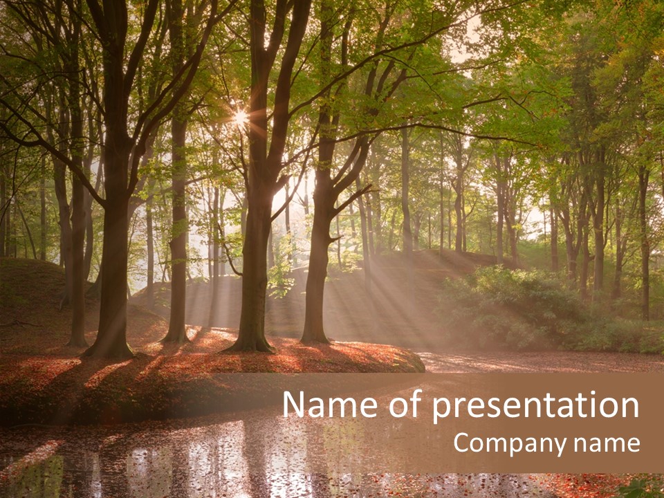 Ethereal Wilderness Glowing PowerPoint Template