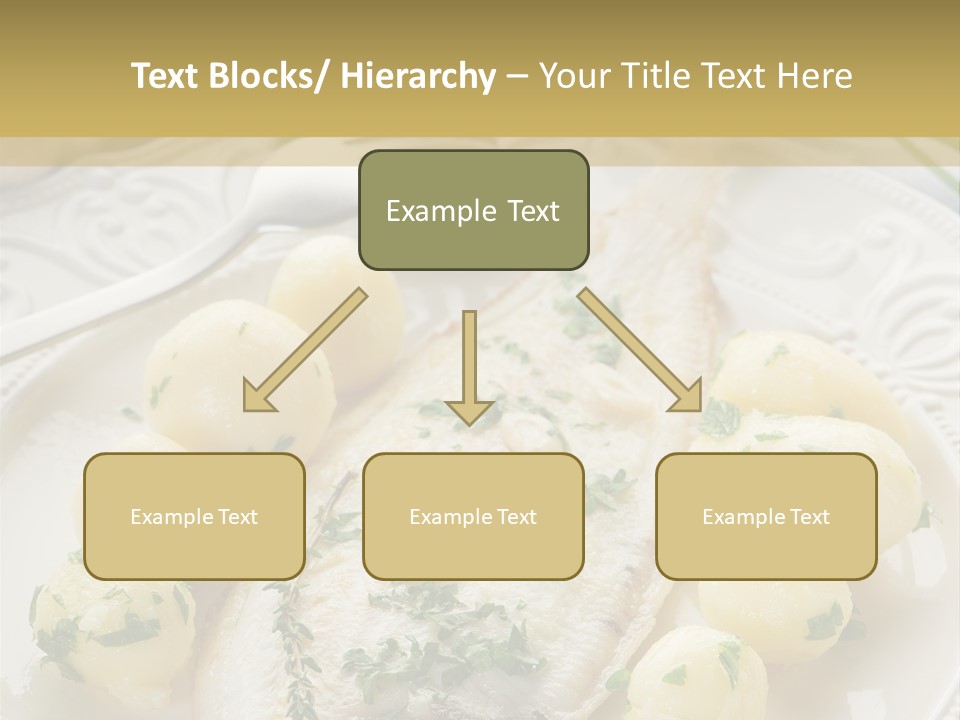 Recipe Sole Healthy PowerPoint Template