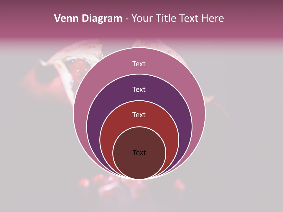 Garnet Pomegranate Background PowerPoint Template