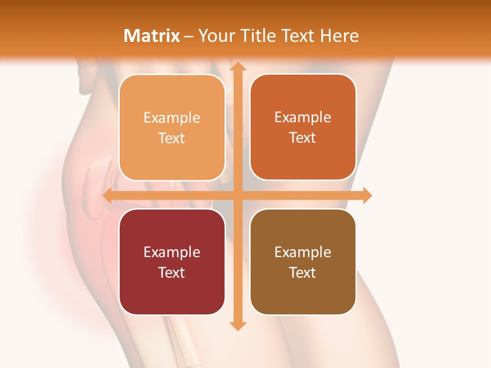 Anatomical Knee Care PowerPoint Template
