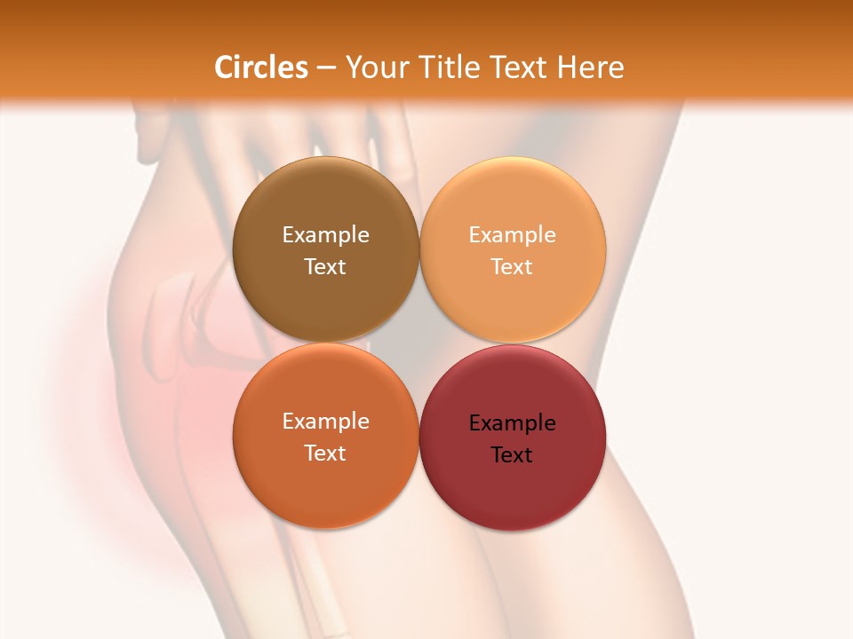 Anatomical Knee Care PowerPoint Template