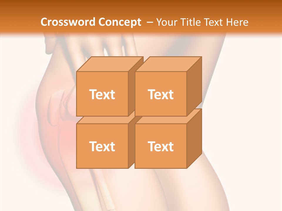 Anatomical Knee Care PowerPoint Template