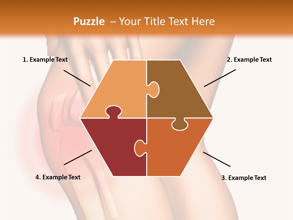 Anatomical Knee Care PowerPoint Template