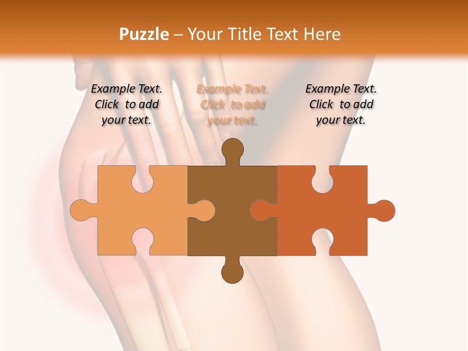 Anatomical Knee Care PowerPoint Template