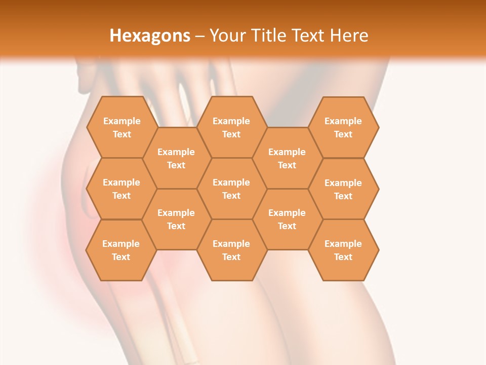 Anatomical Knee Care PowerPoint Template