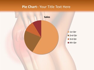 Anatomical Knee Care PowerPoint Template