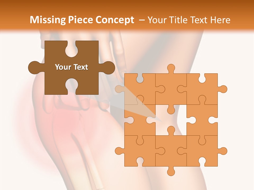 Anatomical Knee Care PowerPoint Template