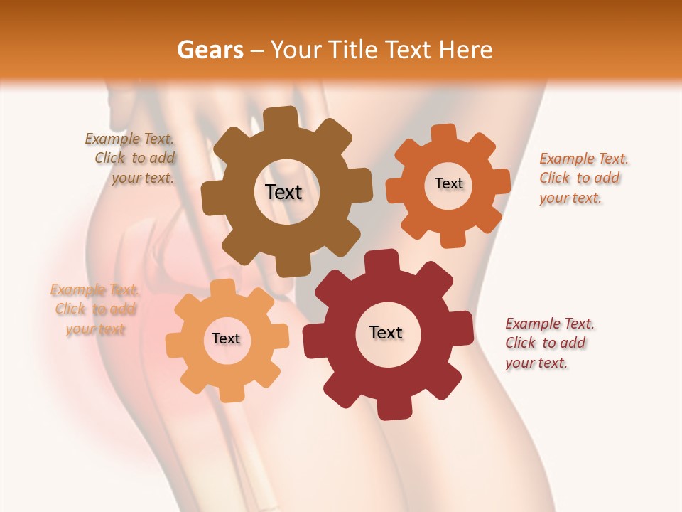 Anatomical Knee Care PowerPoint Template