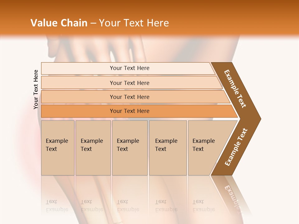 Anatomical Knee Care PowerPoint Template