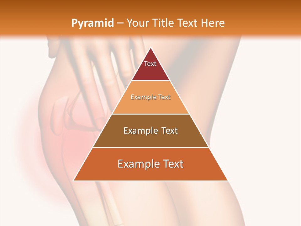 Anatomical Knee Care PowerPoint Template