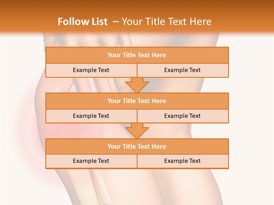 Anatomical Knee Care PowerPoint Template