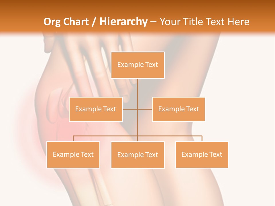 Anatomical Knee Care PowerPoint Template