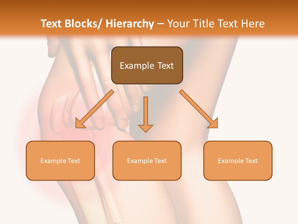 Anatomical Knee Care PowerPoint Template