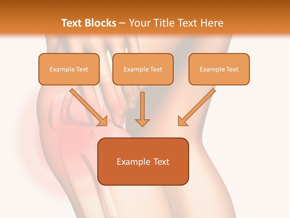 Anatomical Knee Care PowerPoint Template