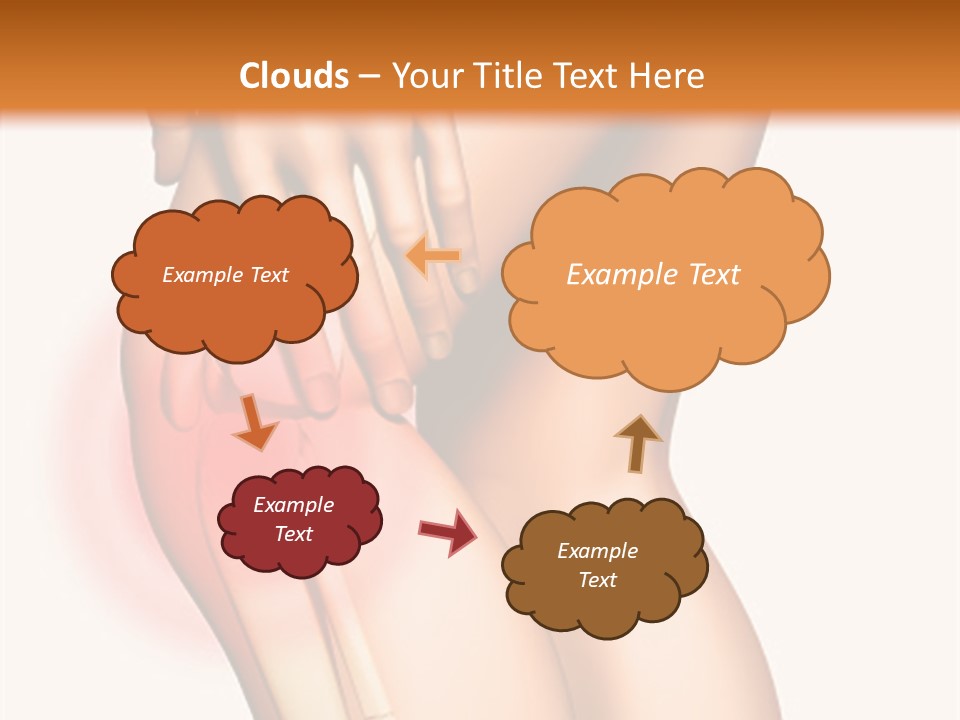Anatomical Knee Care PowerPoint Template