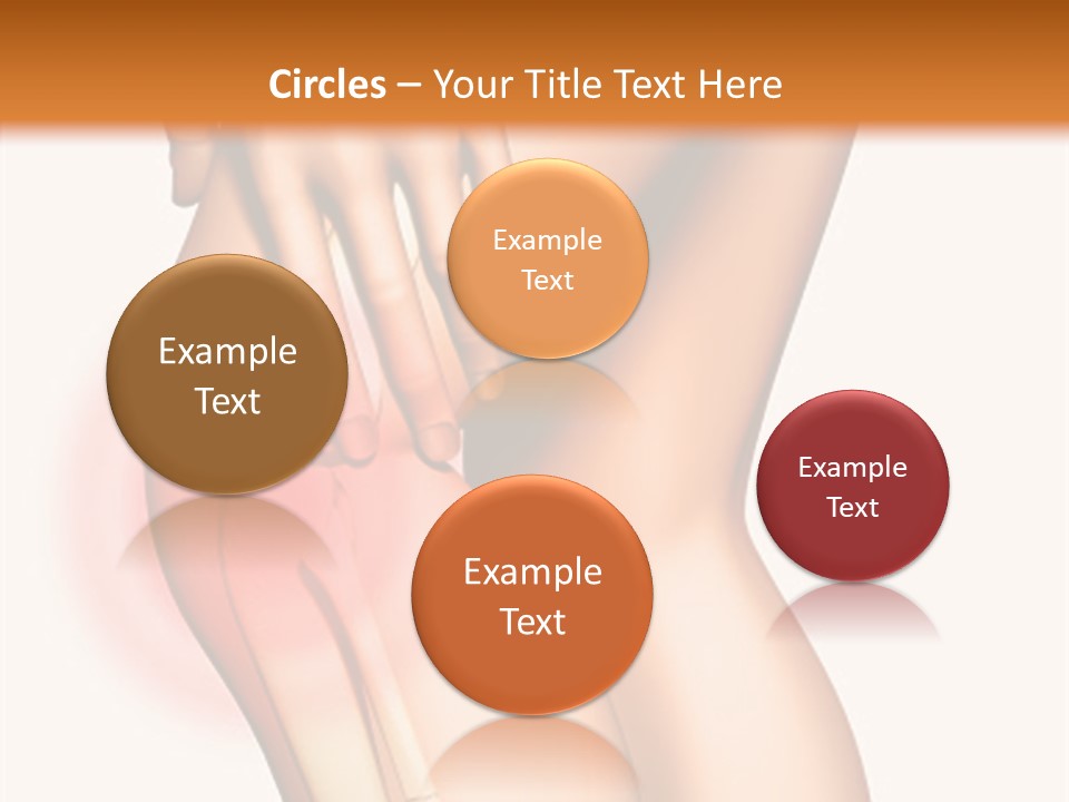 Anatomical Knee Care PowerPoint Template