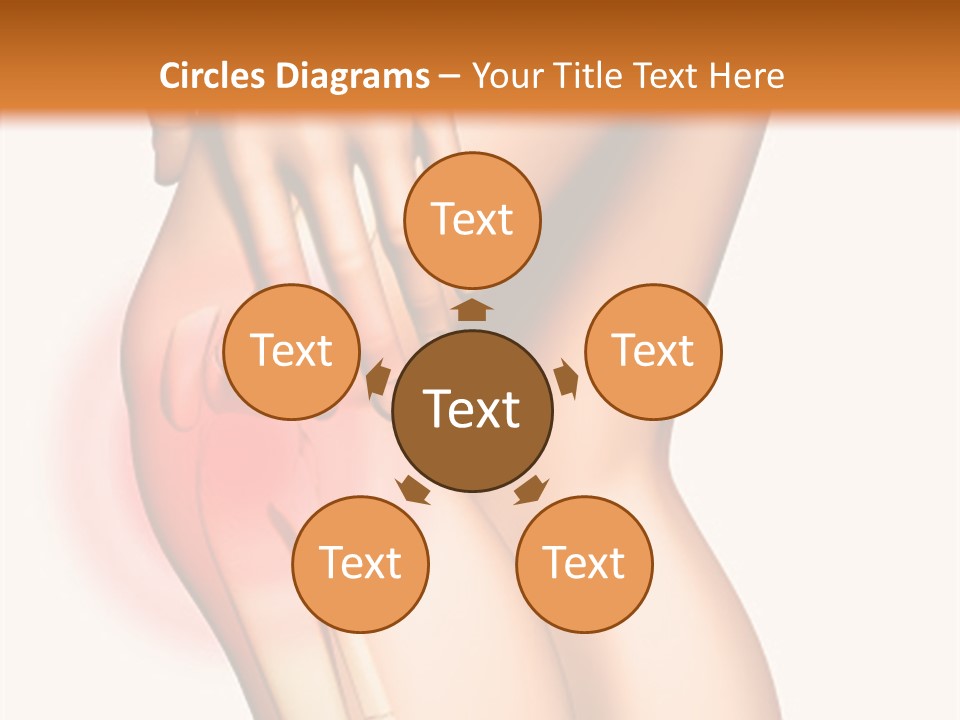 Anatomical Knee Care PowerPoint Template