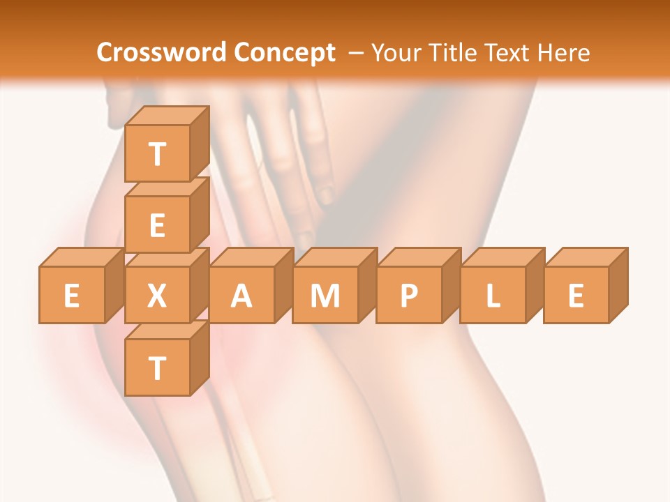 Anatomical Knee Care PowerPoint Template