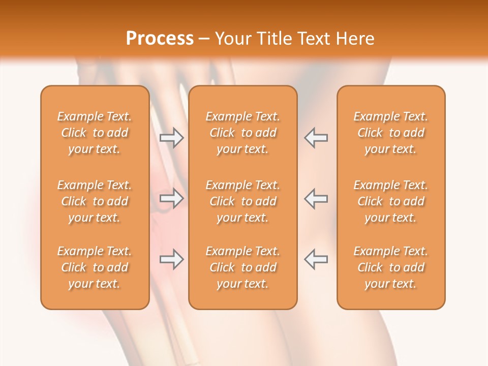 Anatomical Knee Care PowerPoint Template