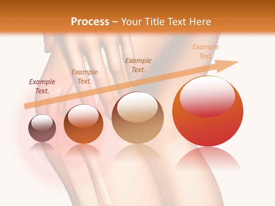 Anatomical Knee Care PowerPoint Template