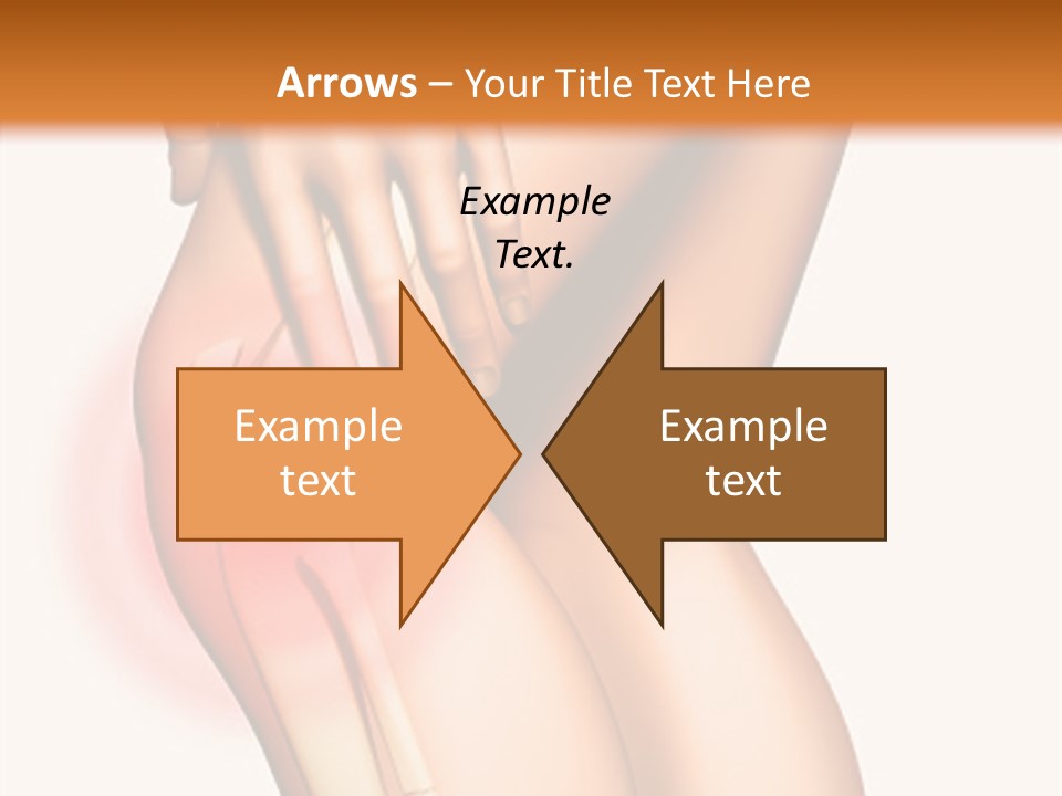 Anatomical Knee Care PowerPoint Template