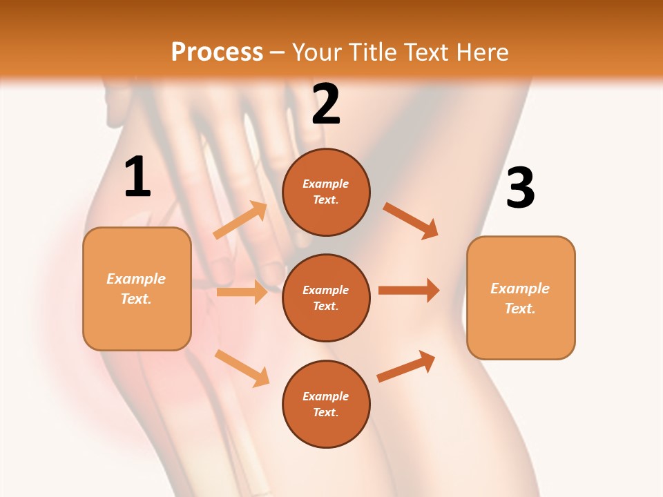 Anatomical Knee Care PowerPoint Template